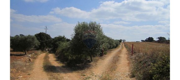 23360m² Land in Santarem, Portugal No. 82835 23