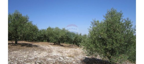 23360m² Land in Santarem, Portugal No. 82835 17