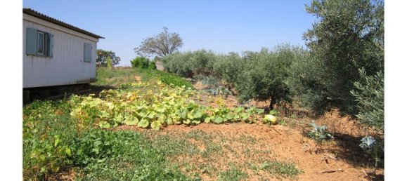 23360m² Land in Santarem, Portugal No. 82835 12