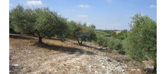 23360m² Land in Santarem, Portugal No. 82835 49