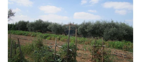 23360m² Land in Santarem, Portugal No. 82835 42