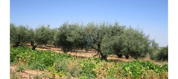 23360m² Land in Santarem, Portugal No. 82835 10