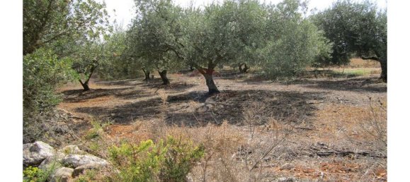 23360m² Land in Santarem, Portugal No. 82835 25