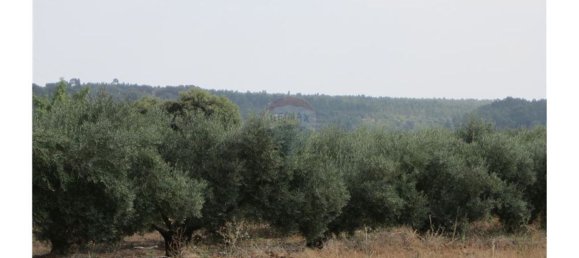 23360m² Land in Santarem, Portugal No. 82835 35