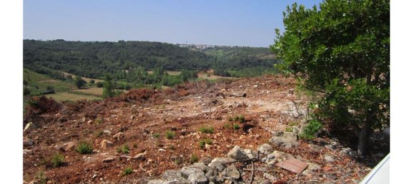 23360m² Land in Santarem, Portugal No. 82835 8