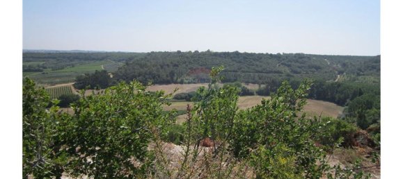 23360m² Land in Santarem, Portugal No. 82835 15