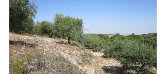 23360m² Land in Santarem, Portugal No. 82835 16