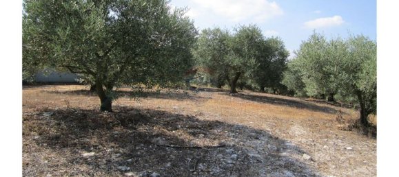 23360m² Land in Santarem, Portugal No. 82835 47