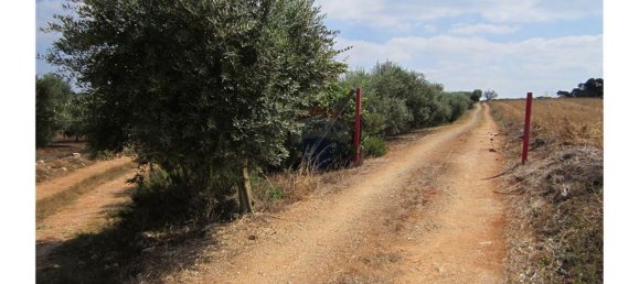 23360m² Land in Santarem, Portugal No. 82835 24