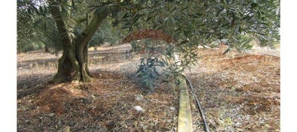 23360m² Land in Santarem, Portugal No. 82835 43