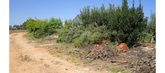23360m² Land in Santarem, Portugal No. 82835 7