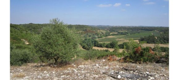 23360m² Land in Santarem, Portugal No. 82835 39