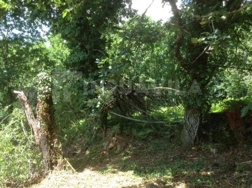 3 bedrooms House in Paredes de Coura, Portugal No. 57679