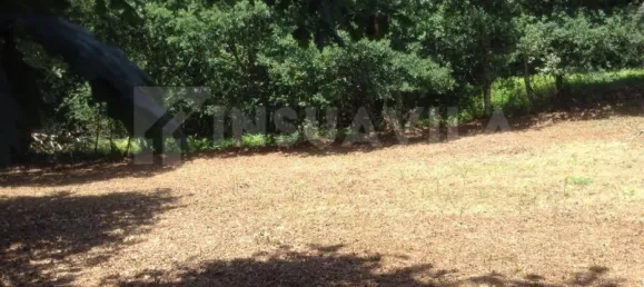 3 bedrooms House in Paredes de Coura, Portugal No. 57679 8