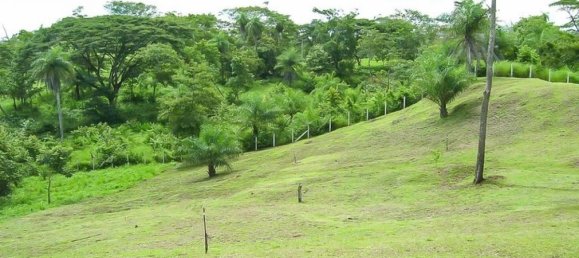 Terra em Garabito, Costa Rica N.º 1506 6