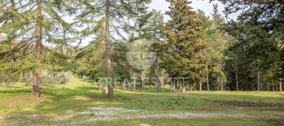 12 rooms House in Parrano, Italy No. 234775 12