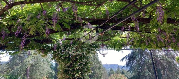 12 rooms House in Parrano, Italy No. 234775 47