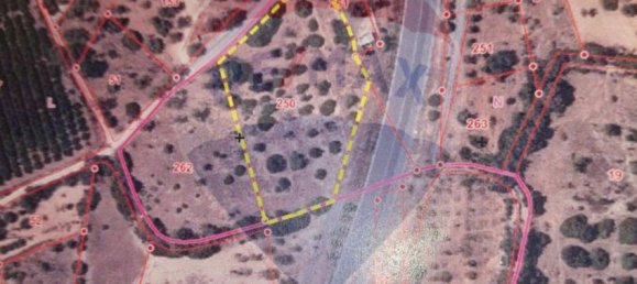 4360m² Land in Quelfes, Portugal No. 41792 3