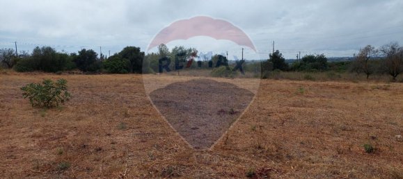 4360m² Land in Quelfes, Portugal No. 41792 5