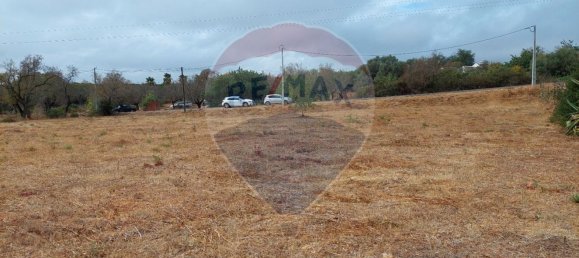4360m² Land in Quelfes, Portugal No. 41792 6