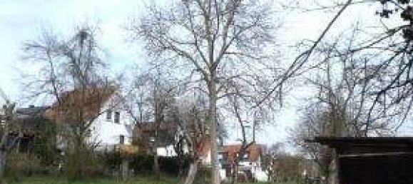  قطعة أرض في Wetteraukreis, Germany رقم 57603 4