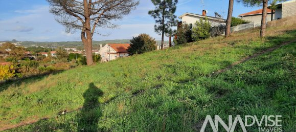  Land in Viseu, Portugal No. 69093 5