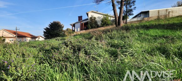  Land in Viseu, Portugal No. 69093 9