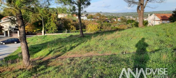  Land in Viseu, Portugal No. 69093 6