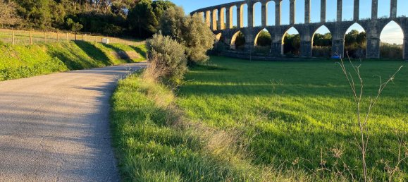 Casa T3 em Tomar, Portugal N.º 14528 25