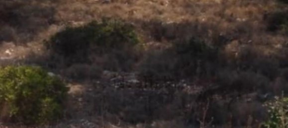  Land in Cala Pi, Spain No. 14118 2