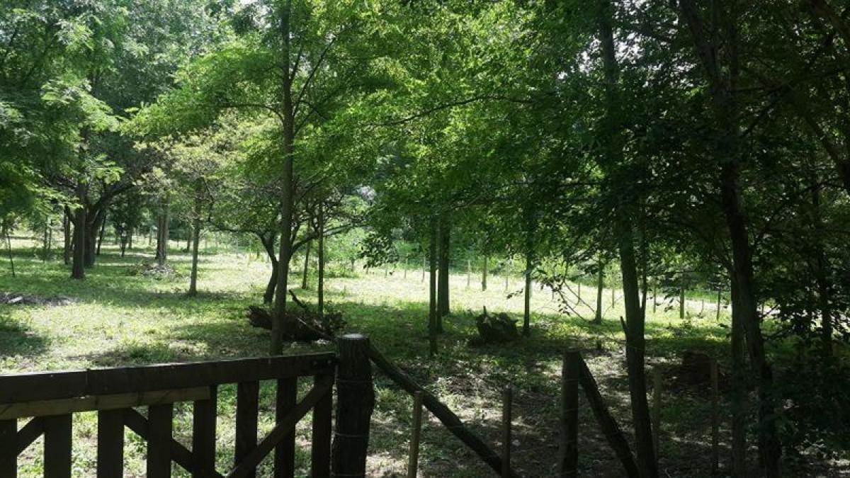  Land in Cordoba, Argentina No. 43195