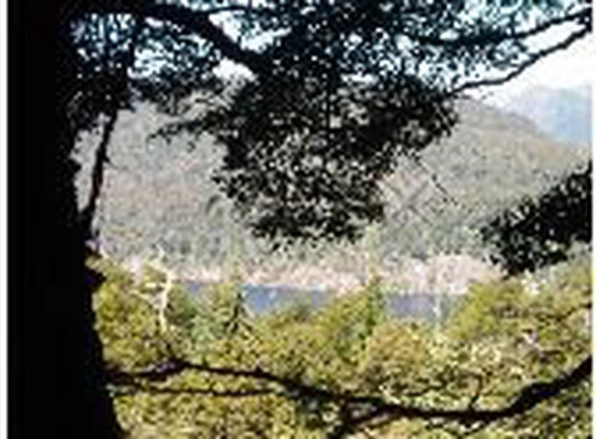  Land in Neuquen, Argentina No. 31827