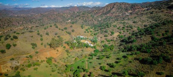 16 bedrooms House in Malaga, Spain No. 159186 28