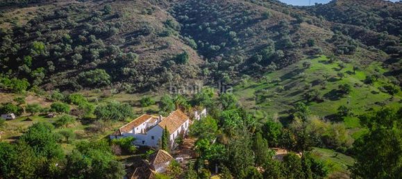 16 bedrooms House in Malaga, Spain No. 159186 22