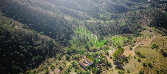 16 bedrooms House in Malaga, Spain No. 159186 32