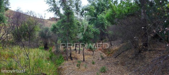 6 bedrooms House in Saboia, Portugal No. 31333 20