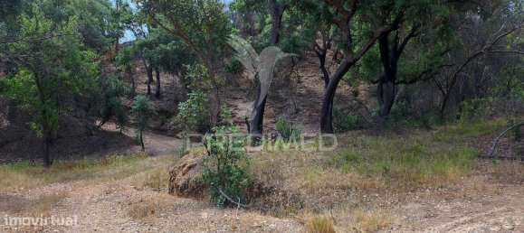 6 bedrooms House in Saboia, Portugal No. 31333 26