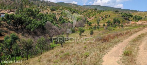 6 bedrooms House in Saboia, Portugal No. 31333 25