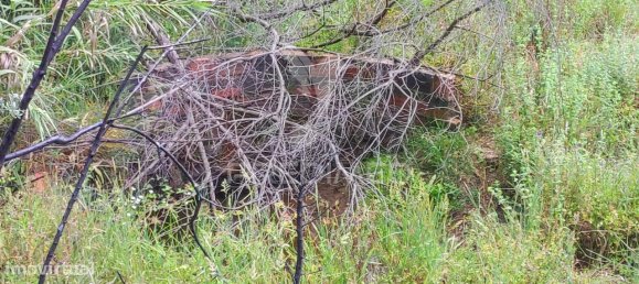 6 bedrooms House in Saboia, Portugal No. 31333 18