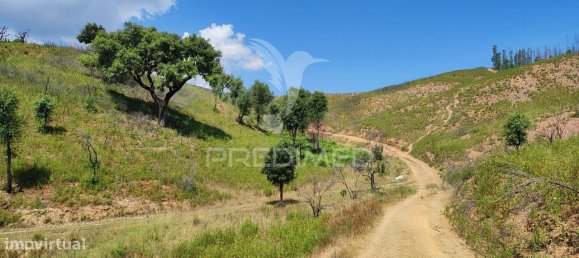 6 bedrooms House in Saboia, Portugal No. 31333 16