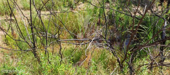 6 bedrooms House in Saboia, Portugal No. 31333 24