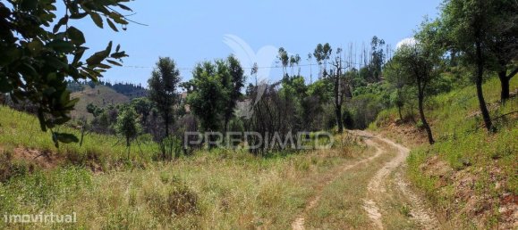 6 bedrooms House in Saboia, Portugal No. 31333 19