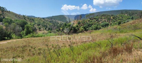 6 bedrooms House in Saboia, Portugal No. 31333 17