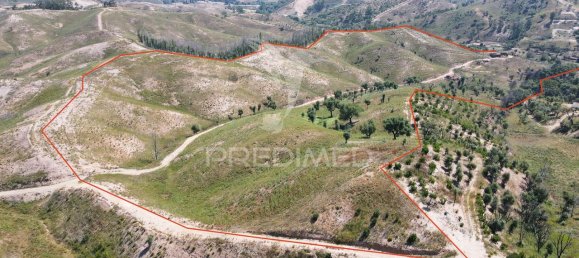 6 bedrooms House in Saboia, Portugal No. 31333 14