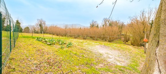 6 rooms Villa in Narzole, Italy No. 151004 5