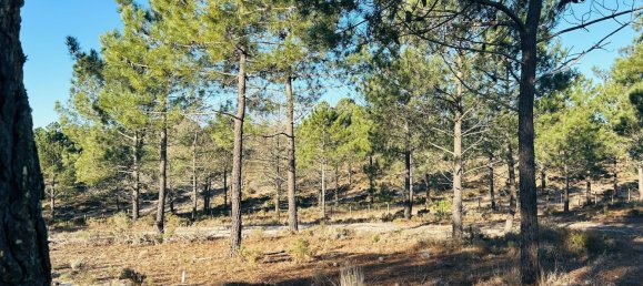225m² Land in Grandola, Portugal No. 113216 8