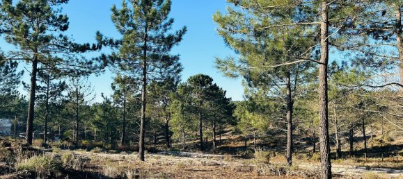 225m² Land in Grandola, Portugal No. 113216 3