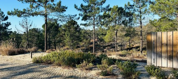225m² Land in Grandola, Portugal No. 113216 2