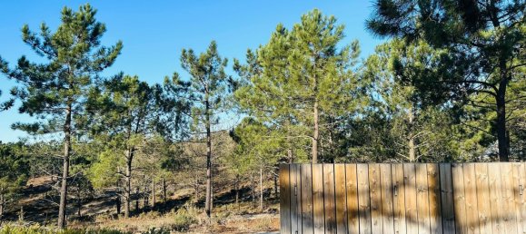 225m² Land in Grandola, Portugal No. 113216 4