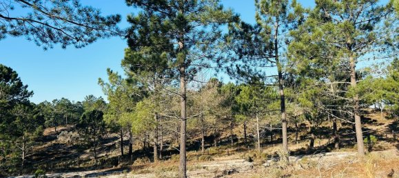 225m² Land in Grandola, Portugal No. 113216 9